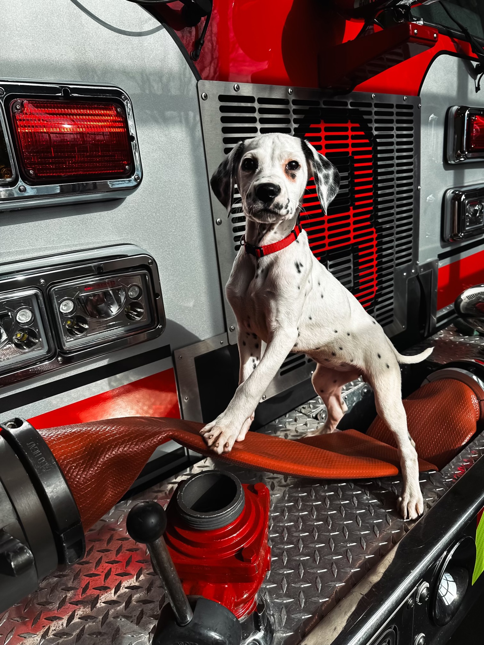 Cinder on Fire Truck